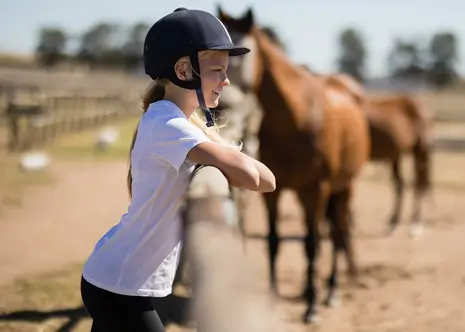 Full Use of Stables